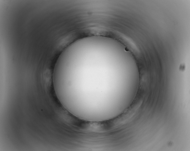 X0000102540121200808221938