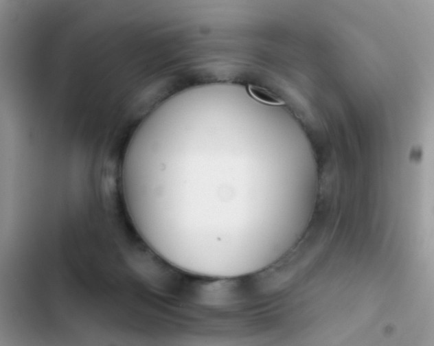 X0000102540122200808221938