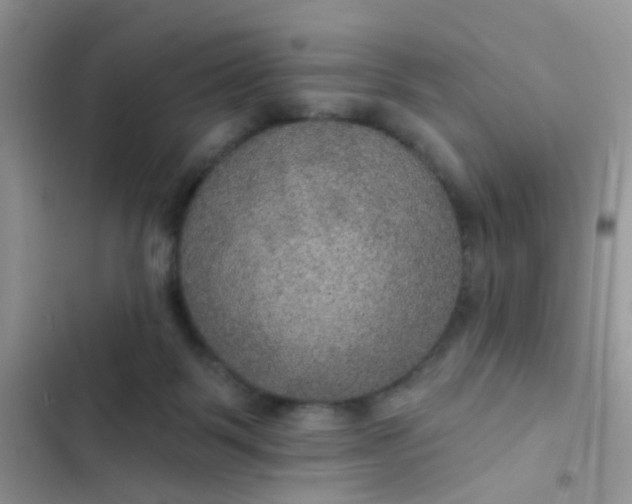 X0000102540123200808221938