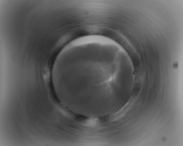 X0000102540124200808221938