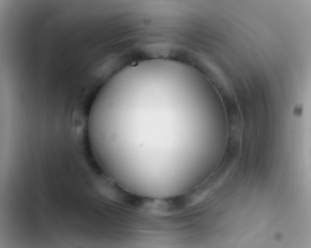 X0000102540125200808221938