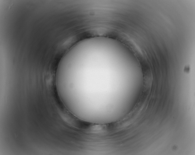 X0000102540126200808221938
