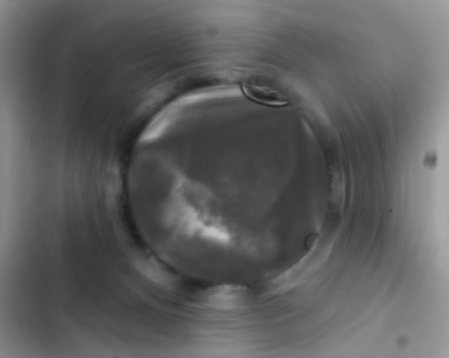 X0000102540128200808221938