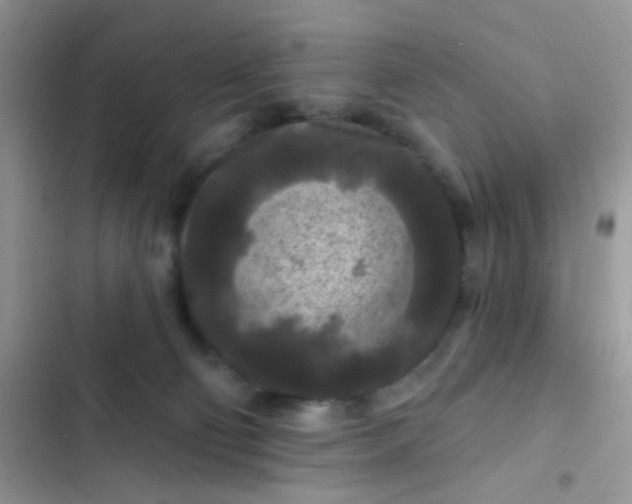 X0000102540130200808221938
