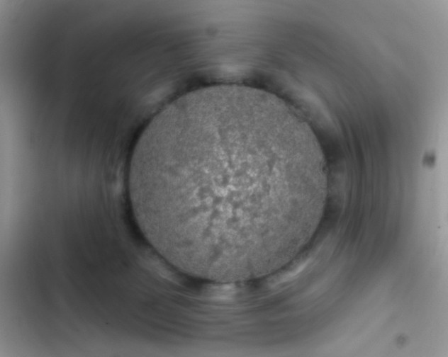 X0000102540131200808221938