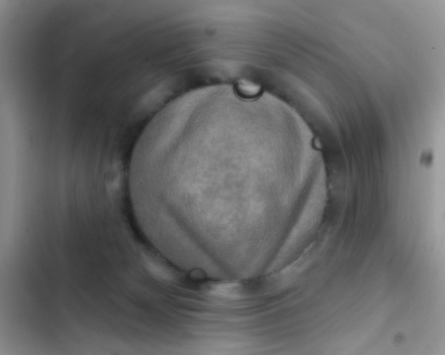 X0000102540132200808221938