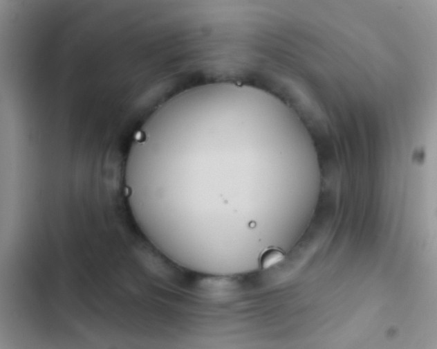 X0000102540133200808221937