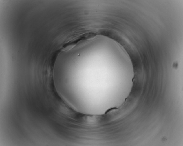 X0000102540134200808221937