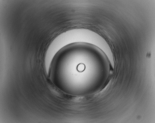 X0000102540136200808221937