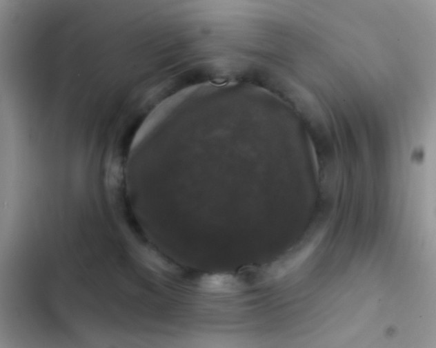 X0000102540137200808221937