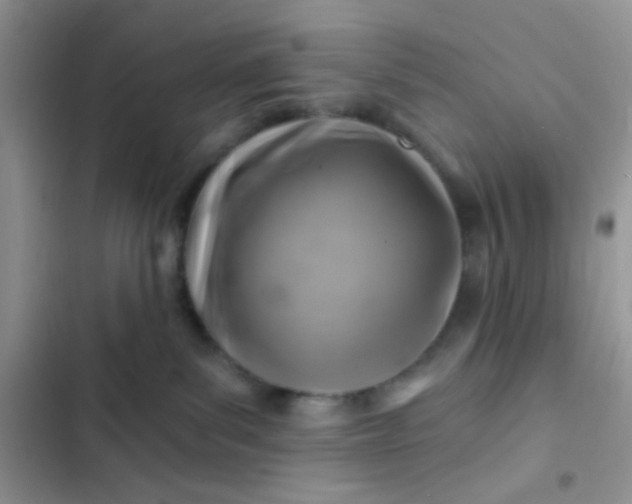 X0000102540139200808221937