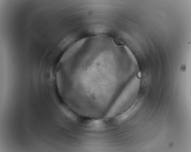 X0000102540140200808221937