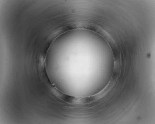X0000102540142200808221937