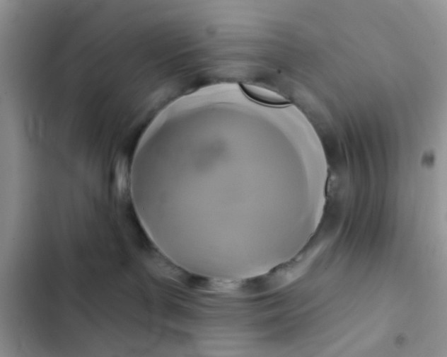 X0000102540143200808221937