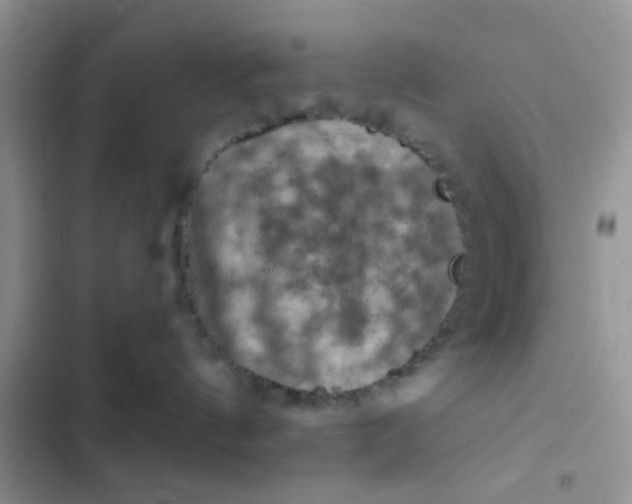 X0000102540144200808221937