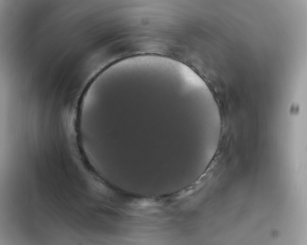 X0000102540146200808221937