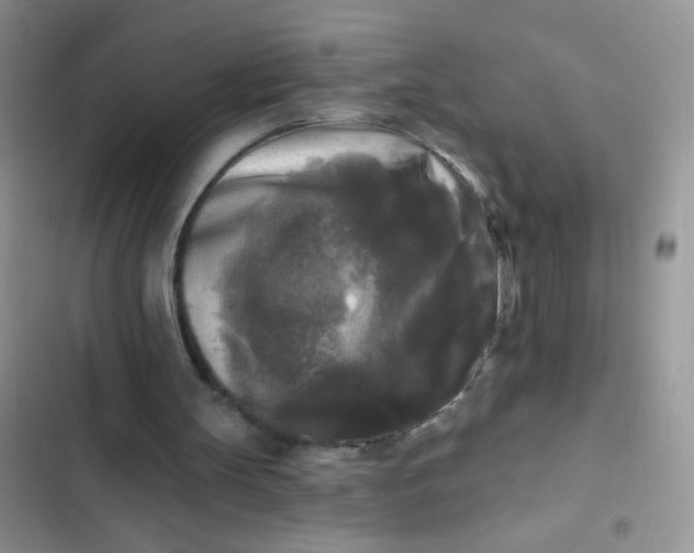 X0000102540147200808221937