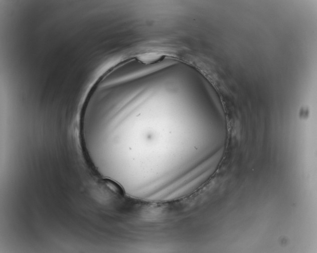 X0000102540148200808221937