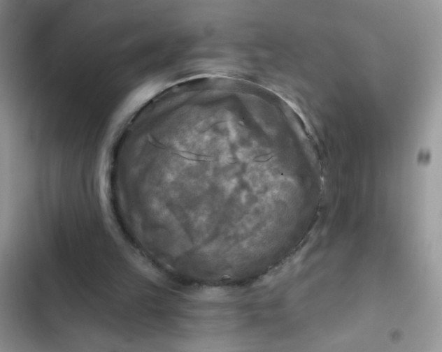 X0000102540149200808221937