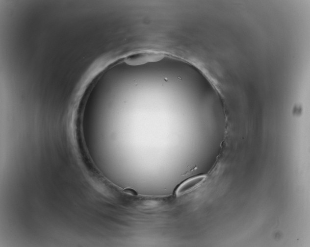 X0000102540151200808221937