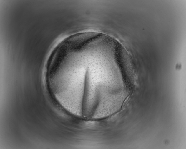 X0000102540152200808221937