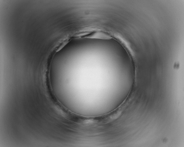 X0000102540153200808221937