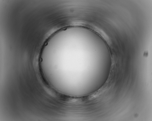 X0000102540155200808221937