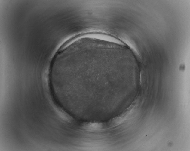 X0000102540156200808221937