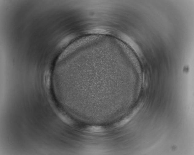 X0000102540157200808221937