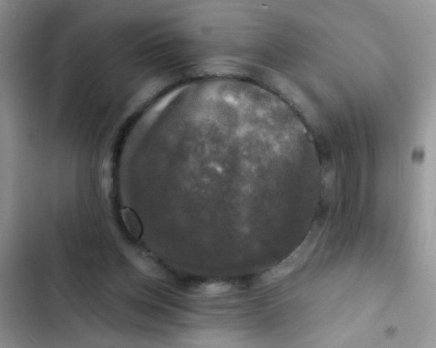 X0000102540158200808221937