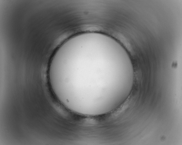 X0000102540159200808221937