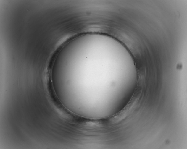 X0000102540160200808221937