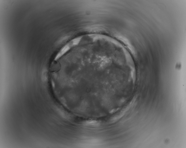 X0000102540161200808221937