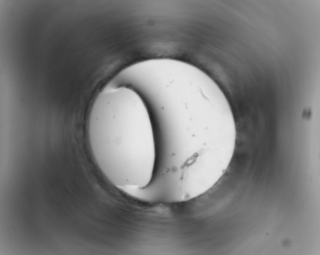 X0000102540162200808221937