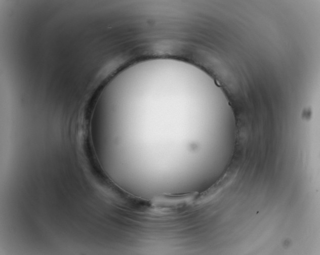 X0000102540164200808221937