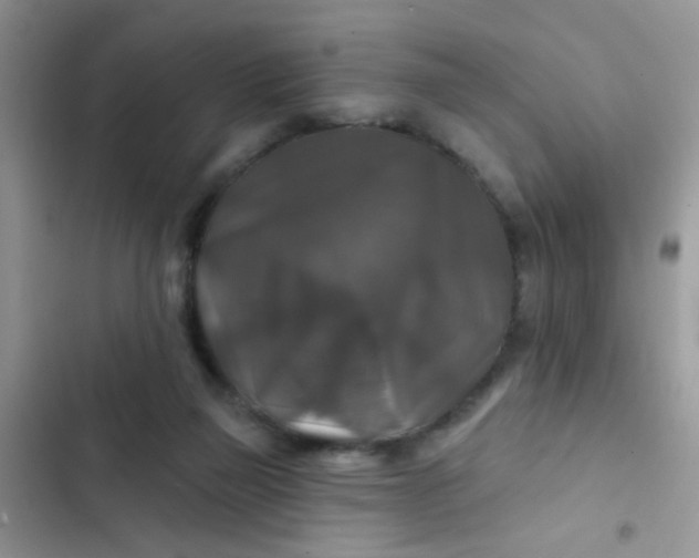 X0000102540165200808221937
