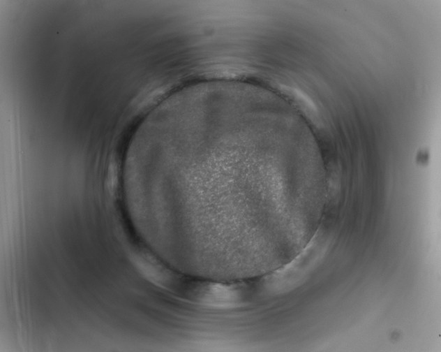 X0000102540166200808221937