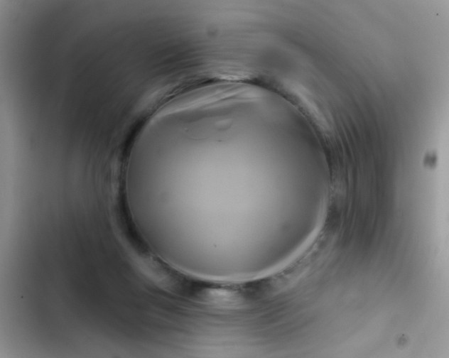 X0000102540167200808221937