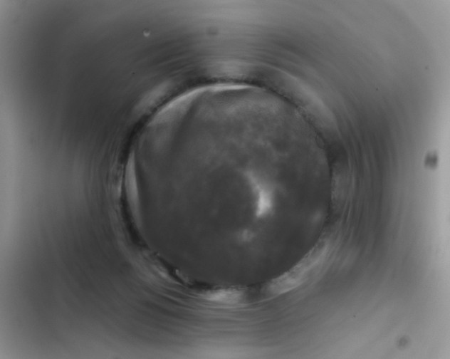 X0000102540168200808221937