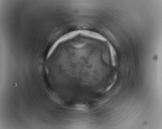 X0000102540169200808221937