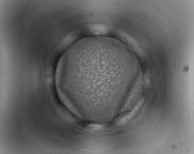X0000102540170200808221937