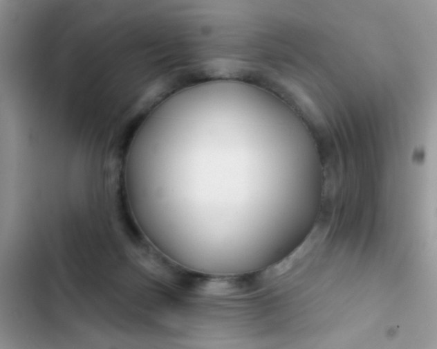 X0000102540171200808221937