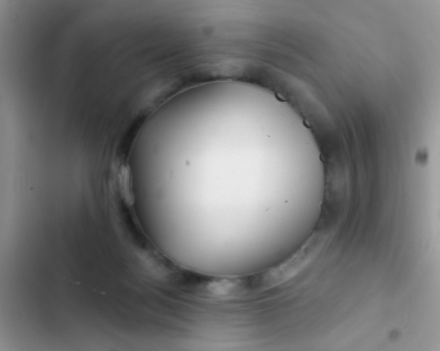 X0000102540172200808221937