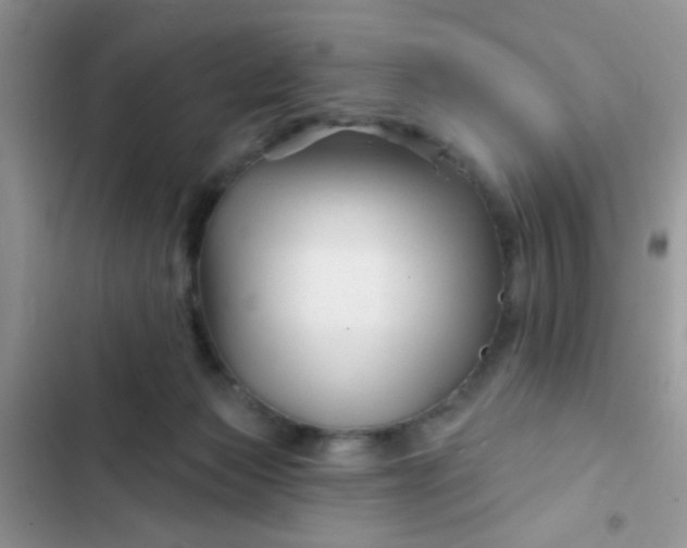 X0000102540173200808221937