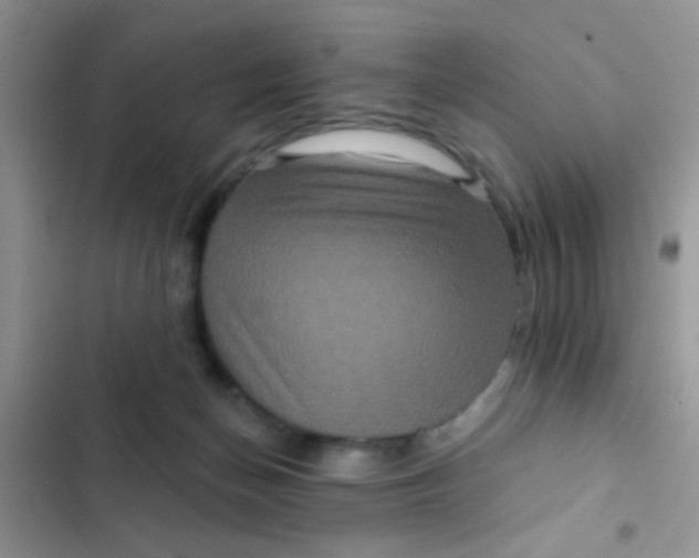 X0000102540174200808221937