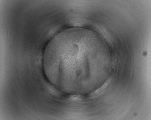 X0000102540175200808221937