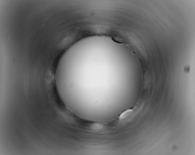 X0000102540176200808221937