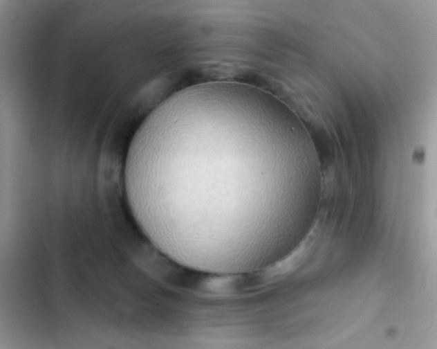 X0000102540178200808221937