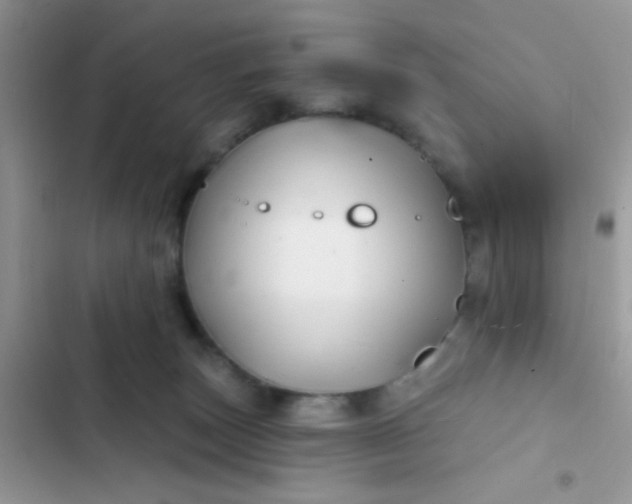 X0000102540179200808221937
