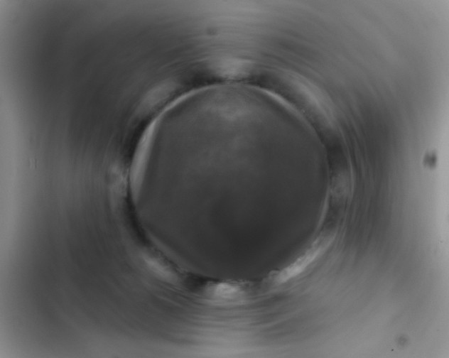 X0000102540180200808221937